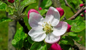 image-png-Dec-16-2025-06-24-44-4829-PM-1